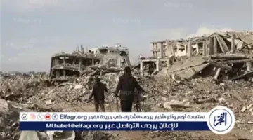 وقف الحرب في غزة يعكس نجاح الدبلوماسية المصرية في تحقيق تهدئة مستدامة